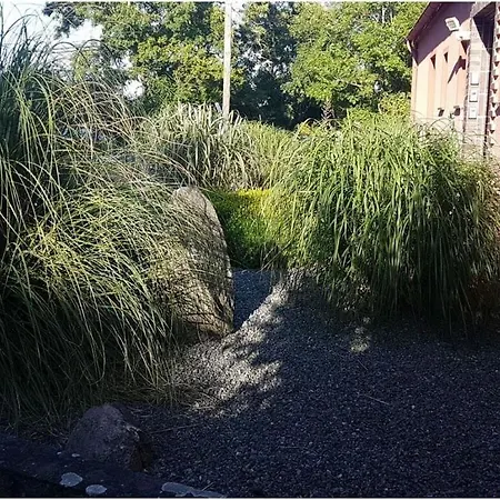 Pond View In The House By The Pond 펜션 페마른